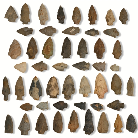 Benton Broad Stem Arrowheads