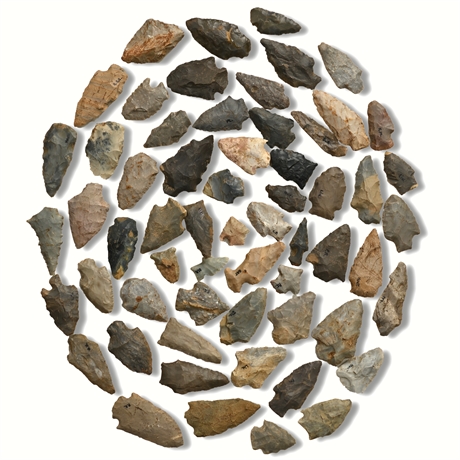 Benton Broad Stem Arrowheads