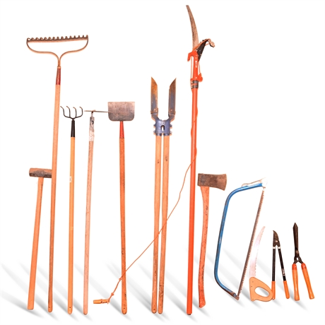 Ultimate Lawn Care Tools