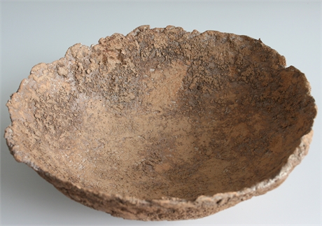 Cynthia de Lorenzo 'Decorative Organic Bowl'