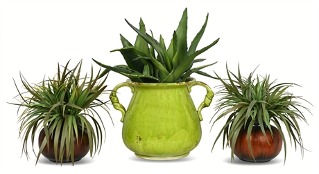 Faux Plants in Decorative Pots