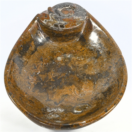 Large Moroccan Ammonite Bowl with Mortality Layers