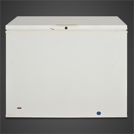 Frigidaire LFFC0924DW0 Commercial Chest Freezer — Locking Lid
