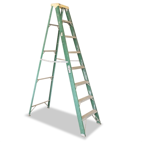 Davidson 8' Fiberglass Ladder