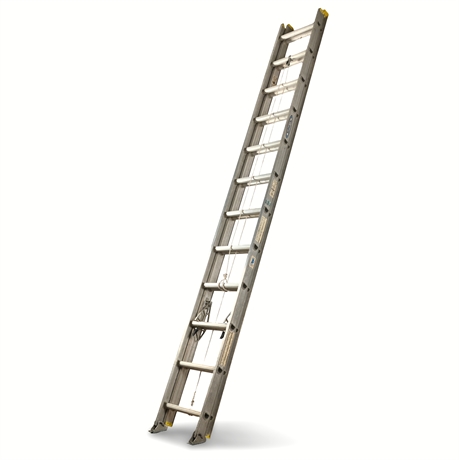 Werner® Job Master Type II 24 ft Commercial Ladder