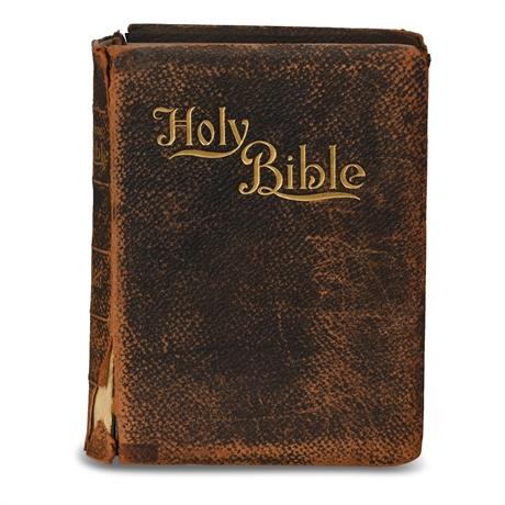 1897 "Illuminated" Holy Bible