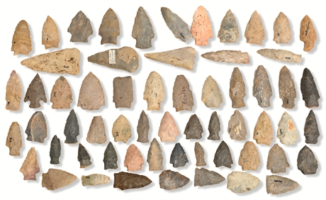 Benton Broad Stem Arrowheads