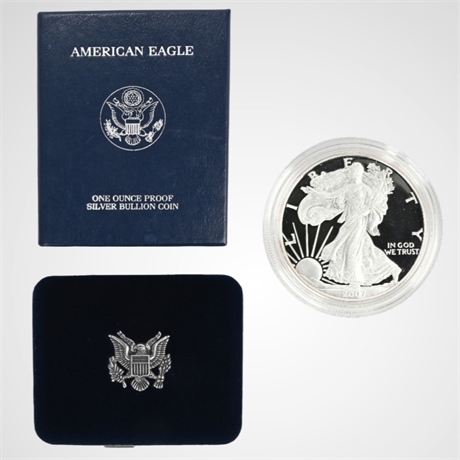 2007 American Eagle One Ounce Silver Proof Coin