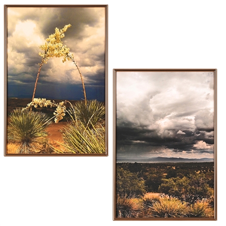 Grethe New Mexico Landscape Photo Pair