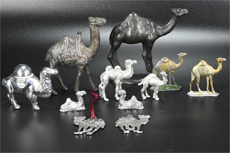 Metal Camel Collection