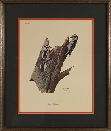Ray Harm "Downy Woodpecker" Lithograph