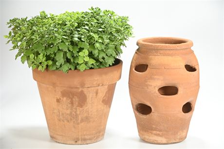 Pair Terracotta Pots