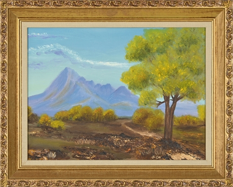 Jo Ott Picacho Mountain Landscape