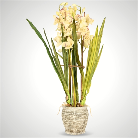 Faux Cymbidium Orchids