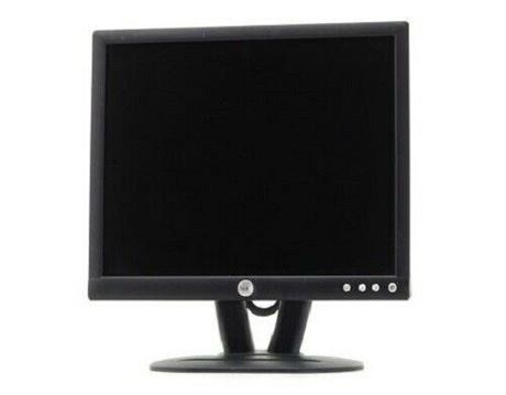 Dell 19" LCD Monitor