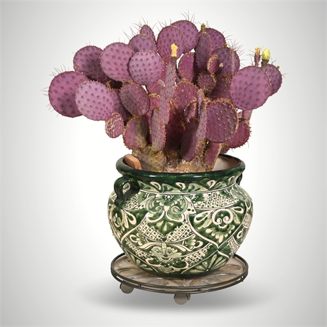 Live Purple Prickly Pear Cactus — Hand-Painted Talavera Jardinière, Dolly