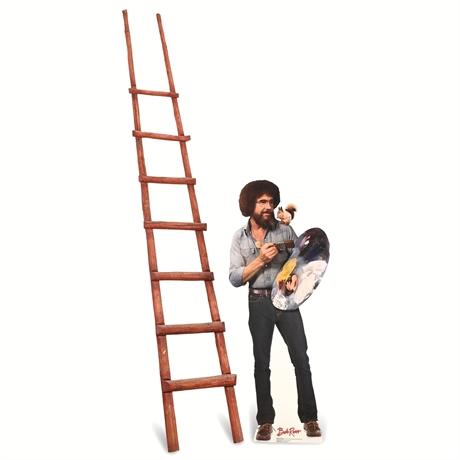 11.5' Kiva Ladder