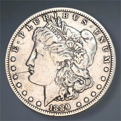 1889 Morgan Silver Dollar - New Orleans Mint