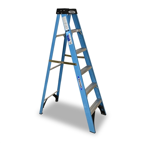 Werner FS106 6' Fiberglass Step Ladder, 250 lb Type I