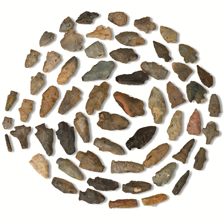 Benton Broad Stem Arrowheads