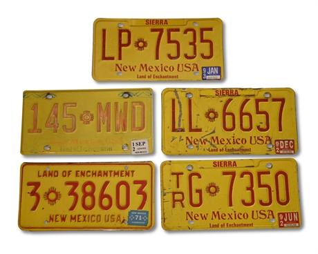 Vintage New Mexico Plates