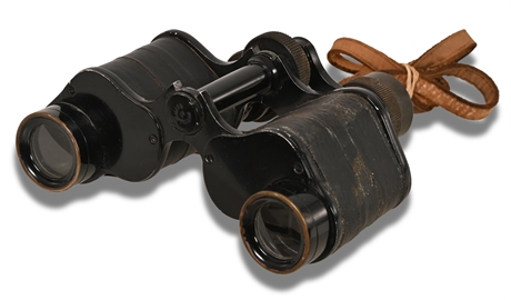 Monte Carlo Binoculars