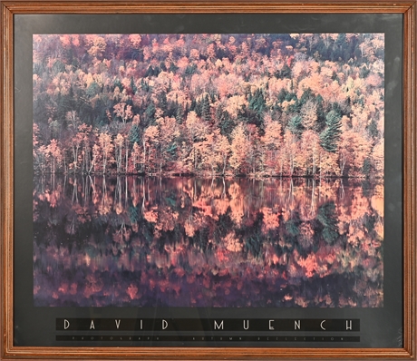 David Muench 'Autumn Reflection'