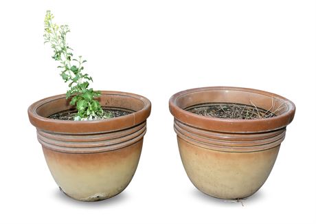Pair of Large Planters