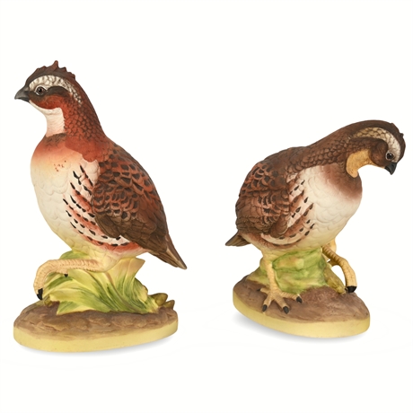 Pair of Andrea by Sadek Bobwhite Quail Porcelain Figurines