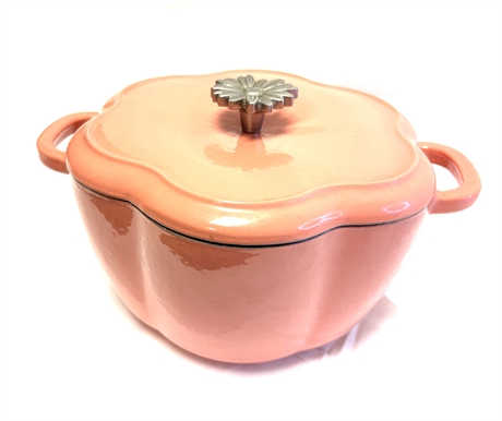 Pink Cast Iron Pot