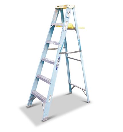 Werner 6 foot Ladder