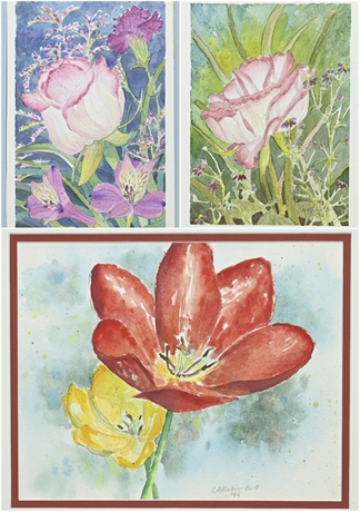 Caroline Burt Watercolors