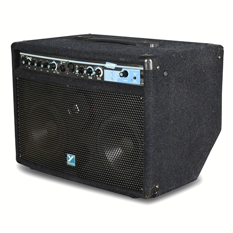 Yorkville Sound AM100 Acoustic Master 100W Combo Amplifier, Tested