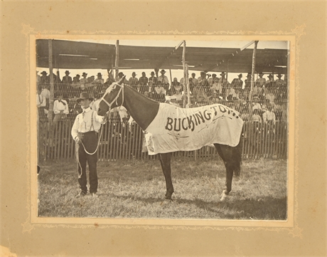 "Bucking Tom" Horse Photograph