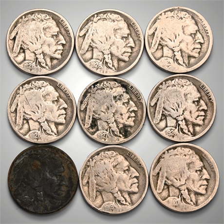 Early 20th Century Buffalo Nickels (1916-1927) - 9 Coins