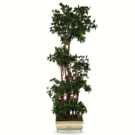 6.5' Faux Ficus in Fleur de Lis Planter