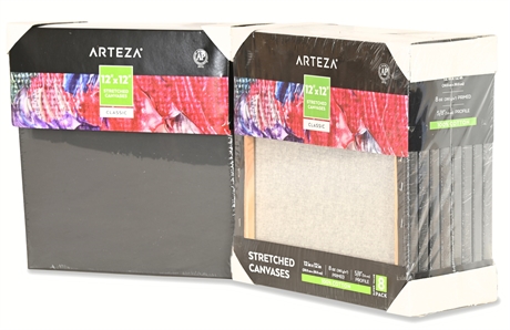 (15) Arteza 12" X 12" Stretched Canvases Primed