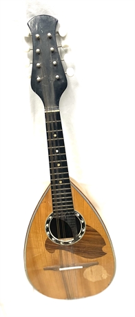 Suzuki Violin Mandolin