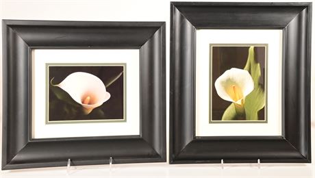 Pair of Framed Lily Prints