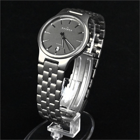 Skagen Titanium Grey Dial Watch