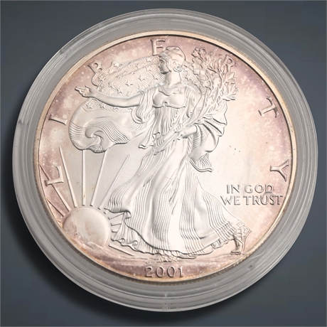 2001 American Silver Eagle