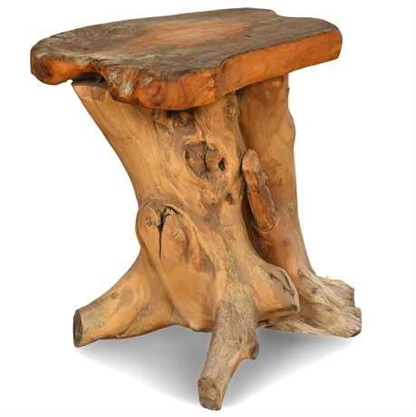 20" Live Edge Stool/Side Table