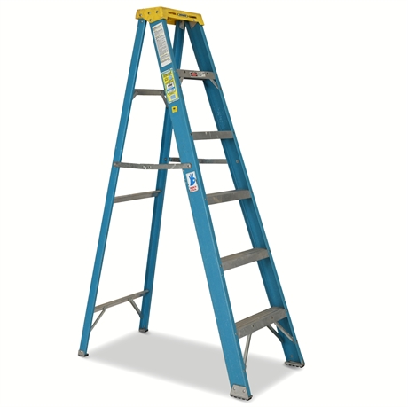 Werner 6 ft Fiberglass Ladder