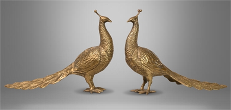 Pair Antique Brass Peacocks