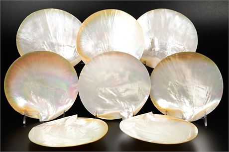 8 Abalone Shell Plates