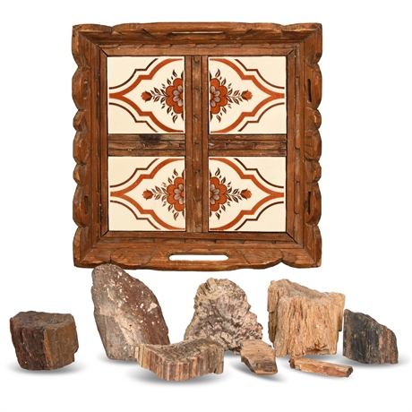 Petrified Wood Collection