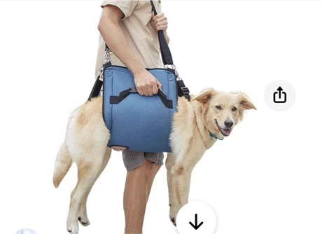 Coodeo Dog Carry Sling