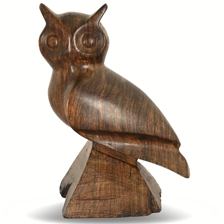 Ironwood Owl