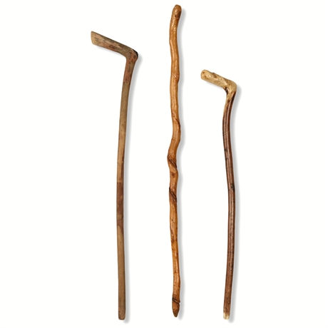 Handcrafted Folk Art Wooden Walking Sticks – Rustic Hiking Canes