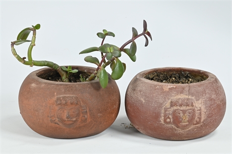 Live Potted Jade Plant in Terracotta Pot